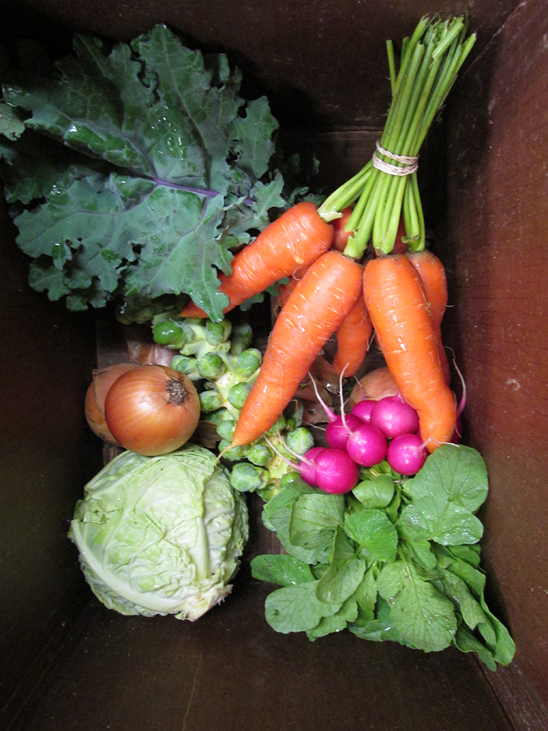 farm fresh veggies